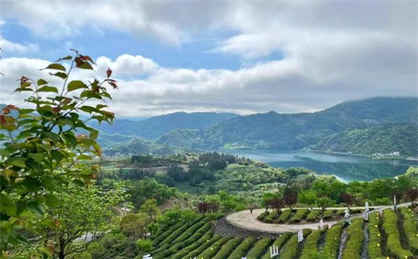 科技文旅双轮驱动 夷陵乡村振兴谱新篇